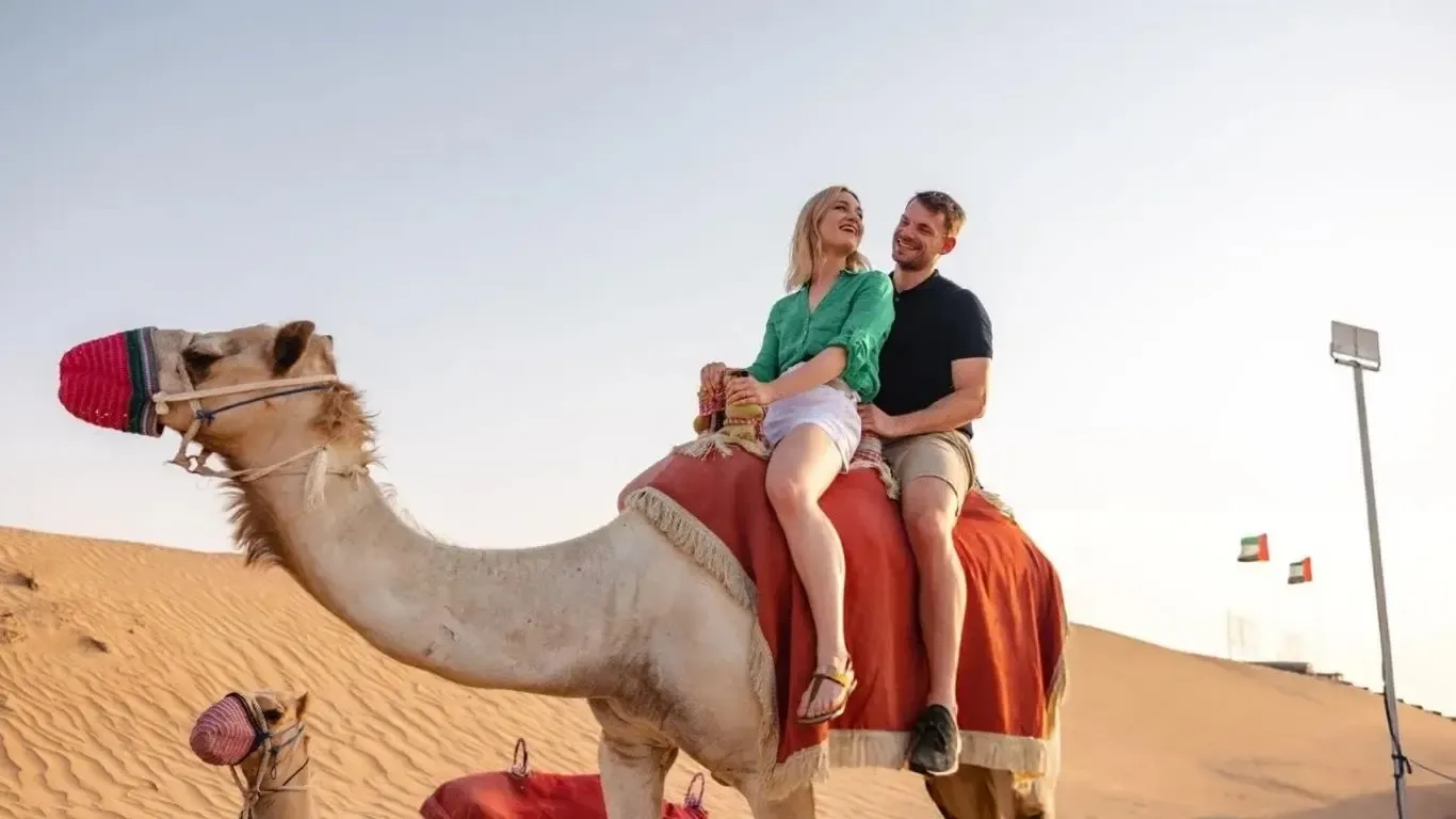Camel Safari Dubai