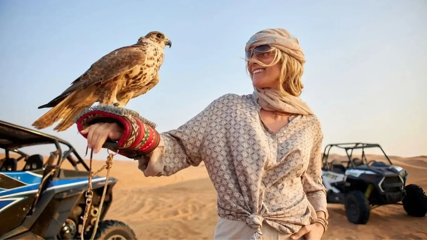 Falcon Show Dubai