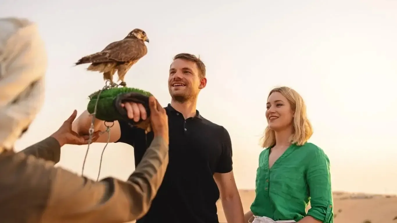 Falconry Experience